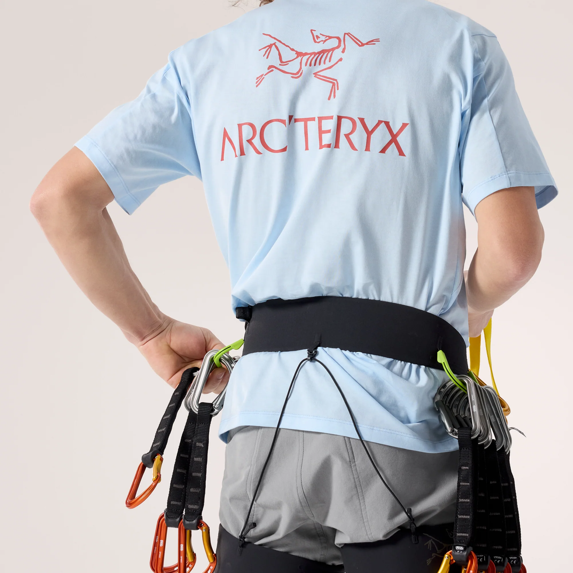Arc'teryx Mens Kragg SL Cotton Bird Word Shortsleeve Tee - Image 4