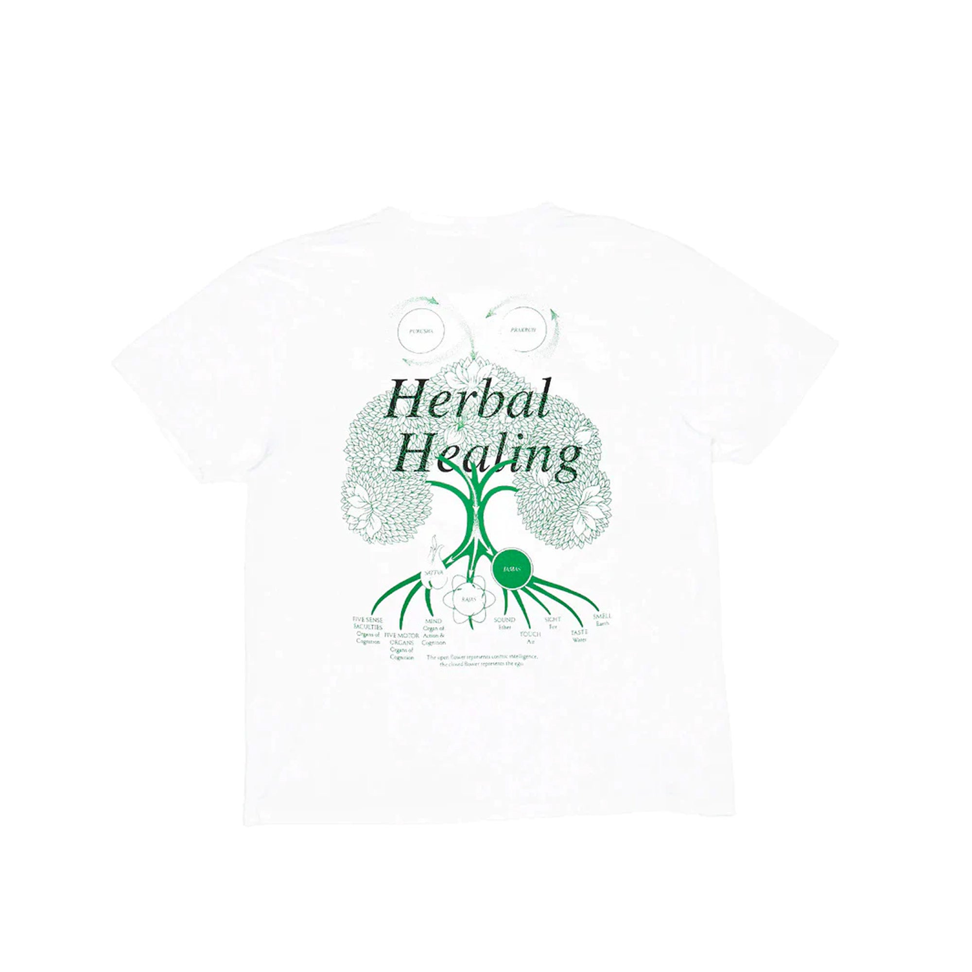 CRTFD Mens Plant Medicine SS Tee - Image 2