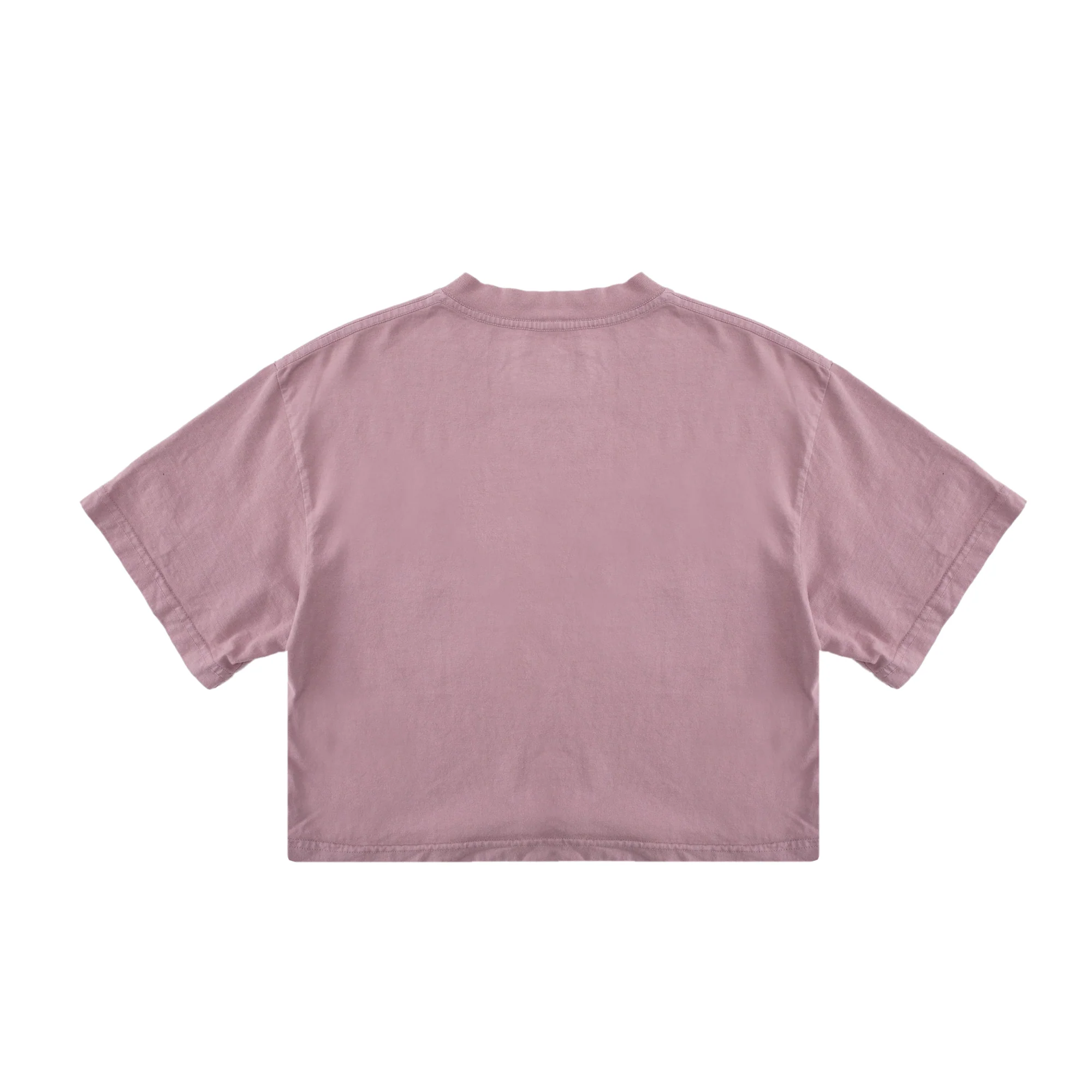 Extra Butter Official Selection Crop Tee Mauve - Image 4